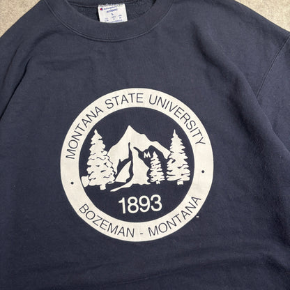 Championスウェットシティボーイ古着